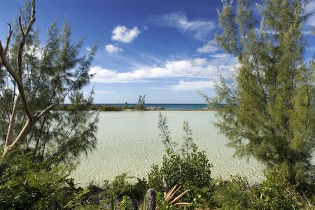 Cat Island, Bahamas. Beach of the East (Atlantic) area Pine Bay, Cat Island.のeditorial素材