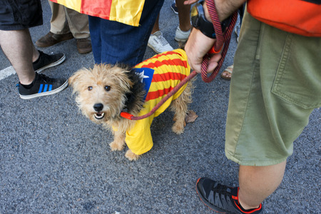 One million Catalans march for independence on September 11, 2017 in Barcelona center, Catalonia, Spainのeditorial素材