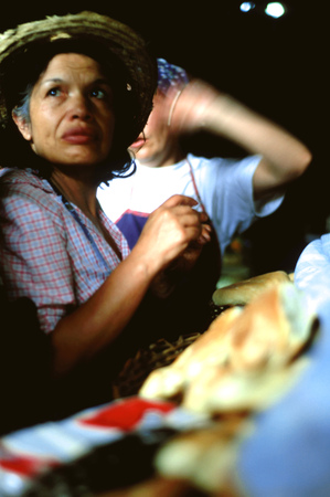 Los Aleros thematic park of typical andean village in Merida Venezuelaのeditorial素材