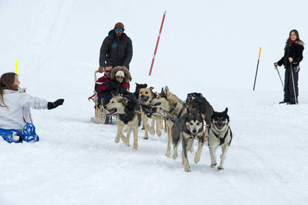 Baqueira Beret, Ski resort, Pyrenees, Aran Valley, Lleida, Catalonia, Spain. Husky sled tour.