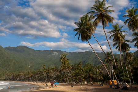 Choroni beach in Falcon state in Venezuela - Henri Pittier National Park, in Venezuela.  It presents a big touristy interest, by being one of the starting points towards the islands of Morrocoy National Park, together with Tucacas. There, you can hire theのeditorial素材