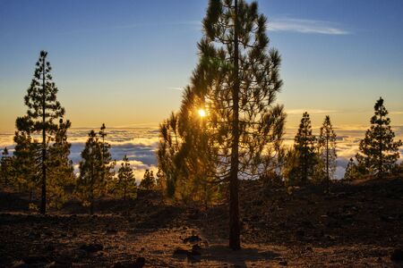 Mountain landscape at Las Canadas, Parque Nacional del Teide, Tenerife, Canary Islands, Spainの写真素材