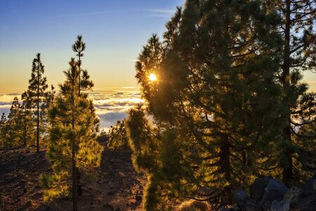 Mountain landscape at Las Canadas, Parque Nacional del Teide, Tenerife, Canary Islands, Spainの写真素材