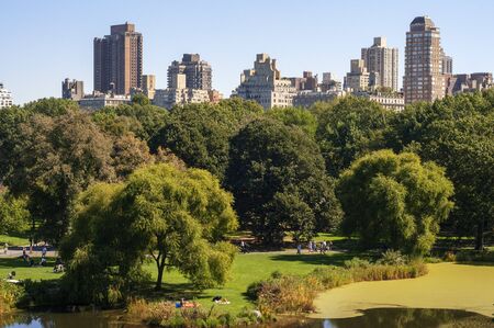 Central Park. In the vicinity of 65th Street is a grassy area called Sheep Meadow in which hundreds...