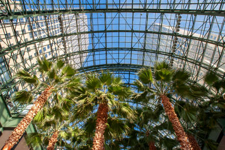 Inside World Financial Center office buildings in the financial district of Manhattan. World Financial Center. Winter Garden Atrium inside Brookfield Place on the North Cove Marina in Lower Manhattanのeditorial素材