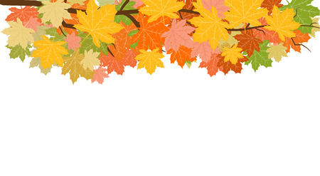 Abstract Vector Illustration Background with Falling Autumn Leaves.の写真素材
