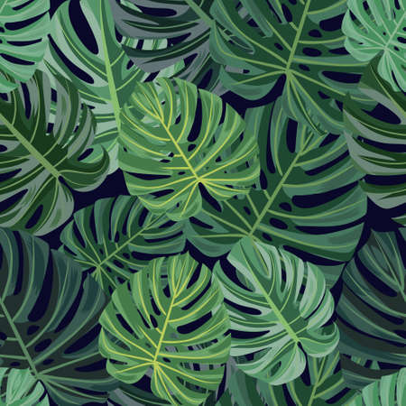 Monstera tree leaf pattern evergreen liana with large carved leaves.のイラスト素材