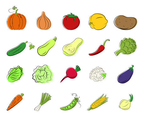 Set fresh vegetables with line art elements. Great for design of healthy lifestyle and different advertising projects. vector illustrationのイラスト素材