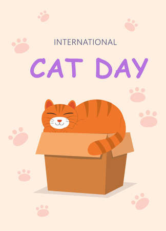 Postcard international day of the cat. Cat in a box on a pink background in an upright positionのイラスト素材
