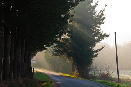 Morning, the road, the sun s raysの写真素材