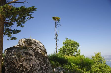 Landscape, Lobeira, Vilagarcia de Arousa, Spainの写真素材