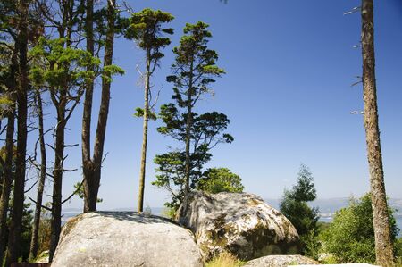 Landscape, Lobeira, Vilagarcia de Arousa, Spainの写真素材