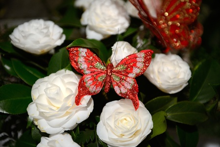 Camellia, flowers, expositionの写真素材