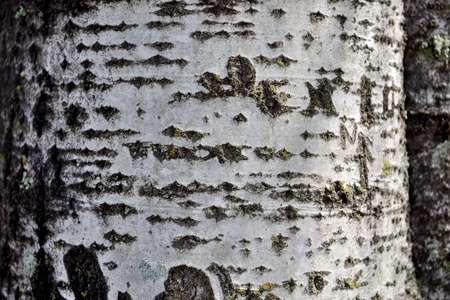 Background, close-up of texture of the material