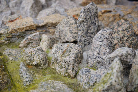 Background, close-up of texture of the material