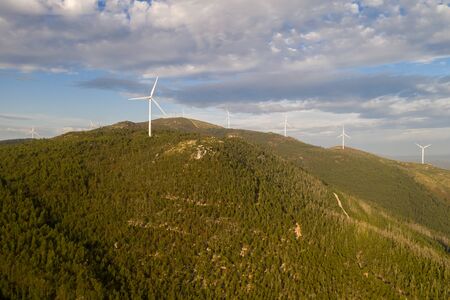 wind turbines on a forest covered mountain in sunset light