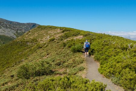 rear view of a woman tourist with backpack walking on a mountain ridgeの写真素材