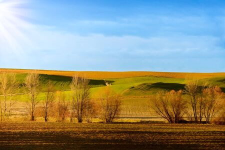 beautiful green hills with yellow grass against a blue sky, morning natural landscapeの写真素材