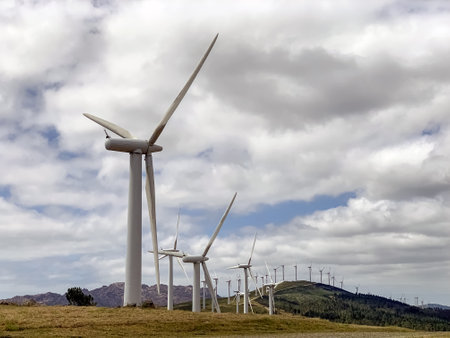 wind power plants against a blue sky with clouds on a bright sunny day