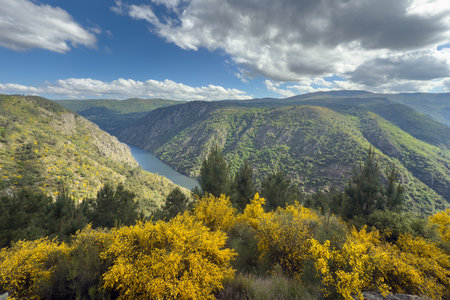 beautiful view of the Sil River Canyon, Galicia, Spain, beautiful natural landscape