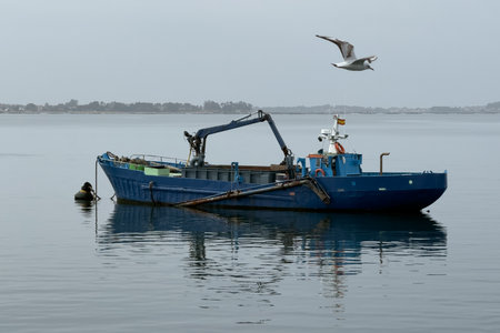 A blue boat at anchor in the water. A seagull is flying above the boatの写真素材