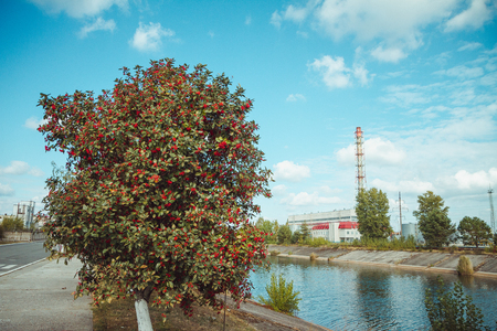 Chornobyl exclusion zone. Radioactive zone in Pripyat city - abandoned ghost town. Chernobyl history of catastrophe. Lost place in Ukraine, SSSRの写真素材