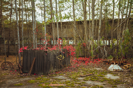 Chornobyl exclusion zone. Radioactive zone in Pripyat city - abandoned ghost town. Chernobyl history of catastrophe. Lost place in Ukraine, SSSRの写真素材