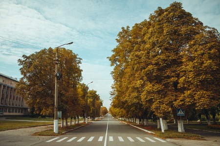 Crosswalk in Chornobyl exclusion zone. Radioactive zone in Pripyat city - abandoned ghost town. Chernobyl history of catastrophe. Lost place in Ukraine, USSRの写真素材