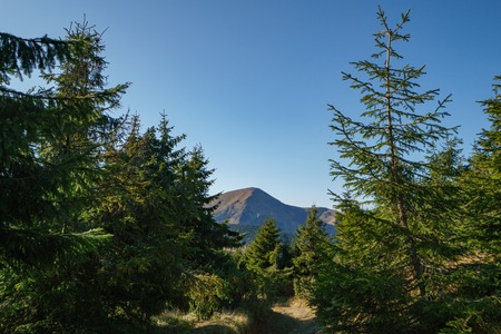 Landscape of Mount Petros - Chornohora of the Ukrainian Carpathian Mountains