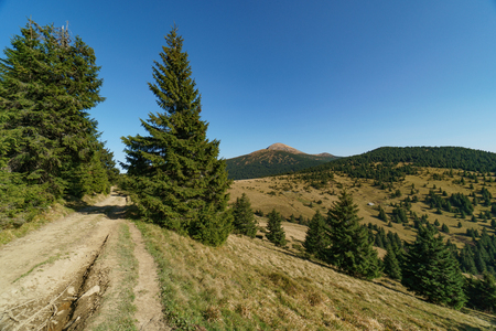 The road to Mount Hoverla of the Ukrainian Carpathian Mountains, Chornohoraの写真素材