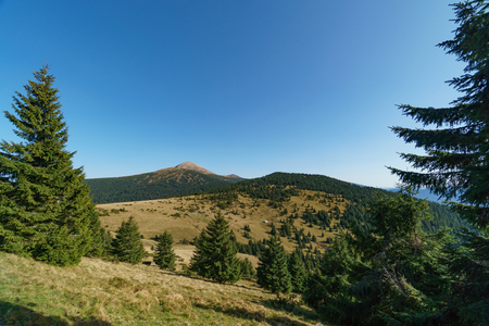 Landscape of Mount Hoverla is the highest mountain of the Ukrainian Carpathian Mountains, Chornohoraの写真素材
