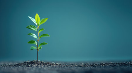 A small green plant emerges from dark soil, symbolizing growth and resilience. The blue background enhances the beauty of this new life, creating a serene and hopeful ambiance.の素材