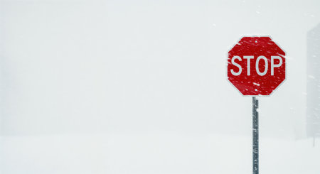 A solitary octagonal red stop sign is visible through a dense flurry of snow, casting a strong visual statement against the soft, diffused light and vast empty white space.の素材