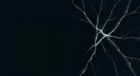 An overhead perspective reveals intricate white and light blue fissures spreading across a deep black background, highlighting the fragile yet powerful nature of frozen water.の素材