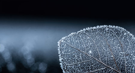A hyperdetailed macro view highlights the fragile structure of a translucent leaf skeleton adorned with tiny ice crystals, set against a mysterious dark backdrop featuring soft, diffused light.の素材
