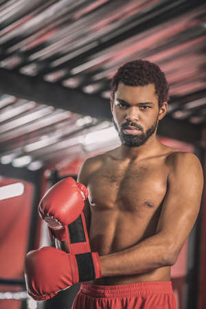 Dark-skinned kickboxer in red shorts and red boxing glovesの写真素材