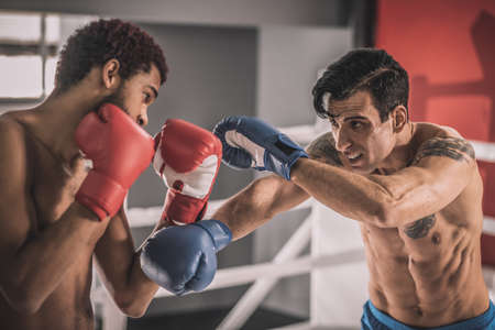Two young kickboxers having a workout and looking involvedの写真素材