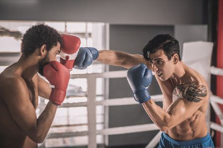 Two young kickboxers having a workout and looking involvedの写真素材