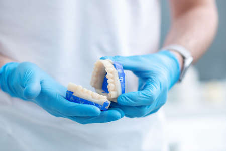 Close up pictire of doctors hands with a denture