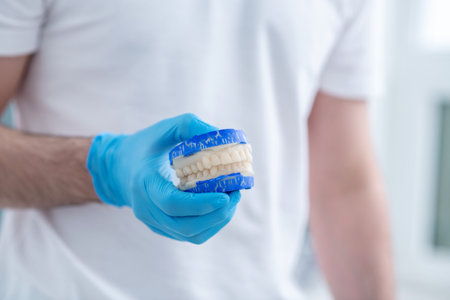 Close up pictire of doctors hands with a dentureの写真素材