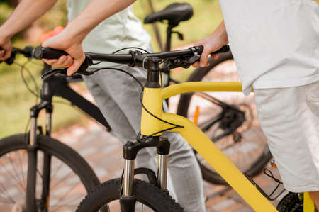 Male athletes cycling together in a parの写真素材