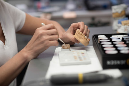 An expert working with plaster prosthesis at the dental officeの写真素材