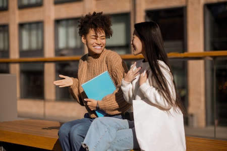 Two girls friendly communicating gesturing sitting on benchの写真素材