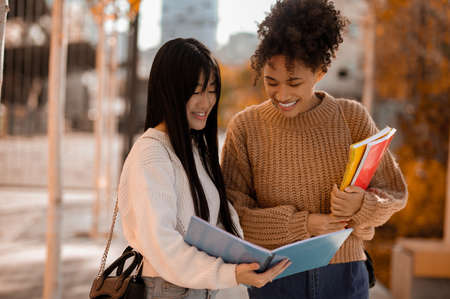 Female students discussing something before classesの写真素材