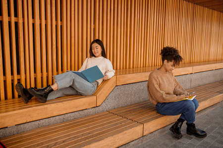 Two girls sitting in pavillion and studyingの写真素材