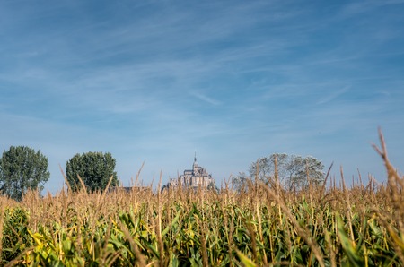 Cornfield in Normandie with a Mont-Saint-Michel on background, Franceの写真素材