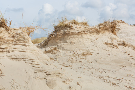 Dunes in Northern Europeの写真素材