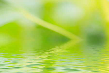 Green background with water reflectionの写真素材