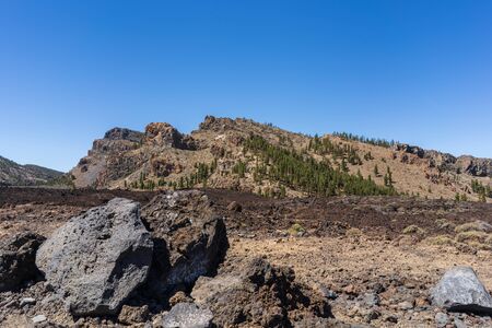 El Teide National Park, Tenerife, Canary Islands, Spainの写真素材