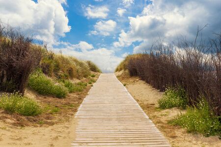 Wooden path to the beach between the dunes, Langeoog Germanyの写真素材